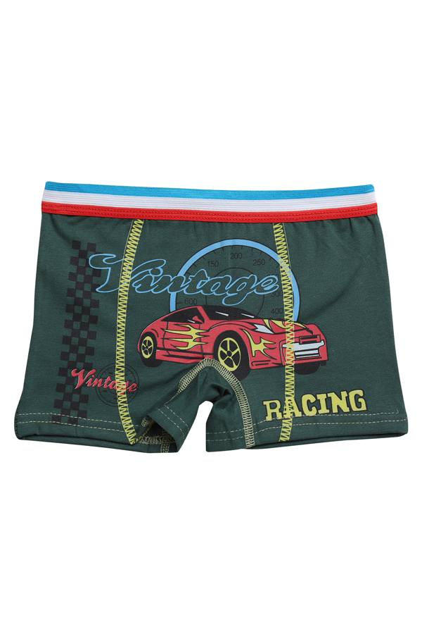 Baskılı Erkek Çocuk Boxer 8007-3 | Yeşil