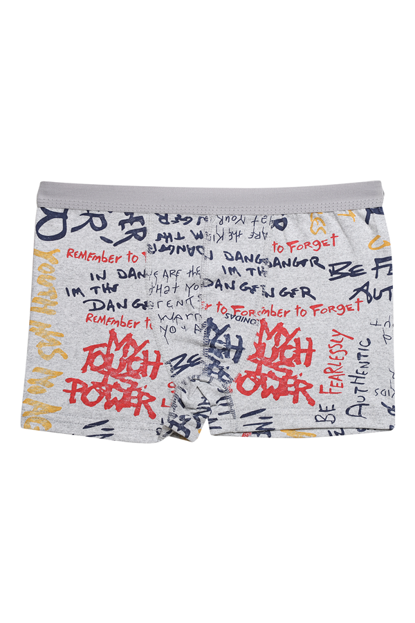 Desenli Erkek Çocuk Boxer 3001-1 | Gri