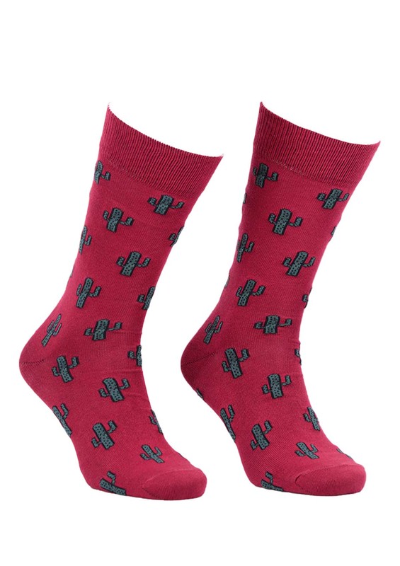 Aytuğ Kaktüs Desenli Erkek Çorap 2433 | Bordo - Thumbnail