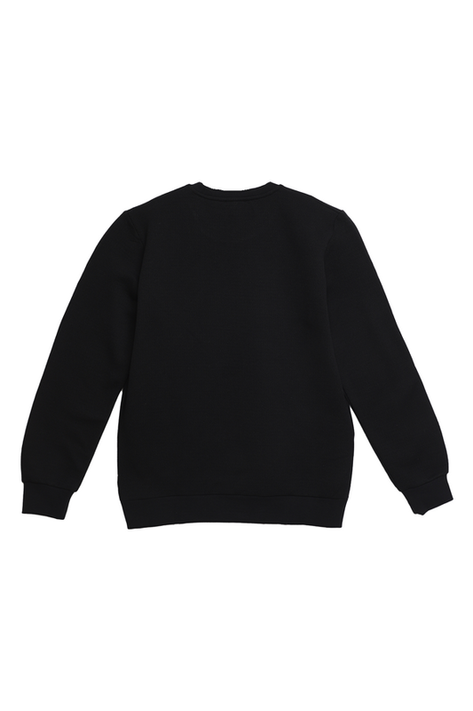 Şardonlu Erkek Sweatshirt 3780 | Siyah - Thumbnail
