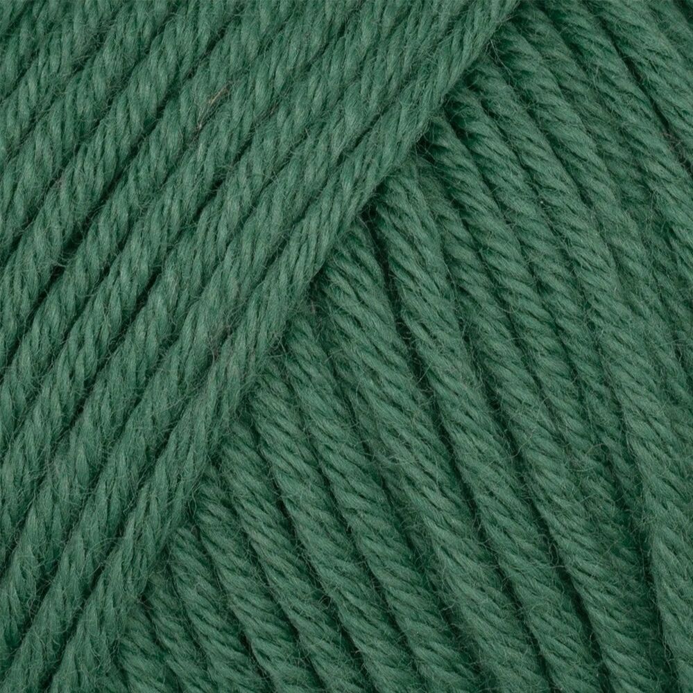 Gazzal Organic Baby Cotton Yarn| Green 427