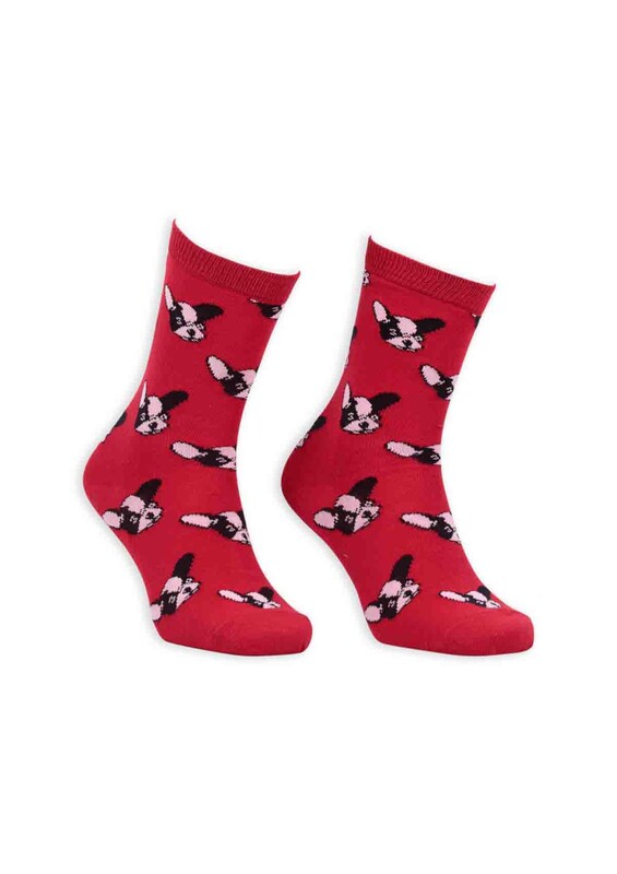 SİMİSSO - Pola Teenage Köpek Desenli Kadın Soket Çorap 003 | Kırmızı