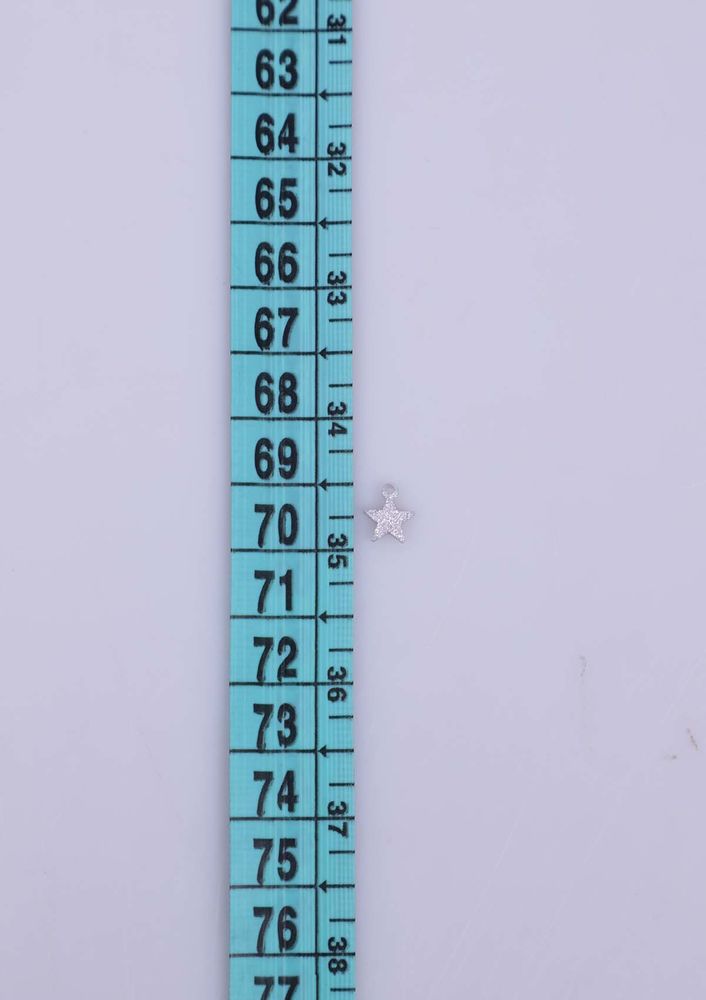 Pulsan Pul Gümüş 246