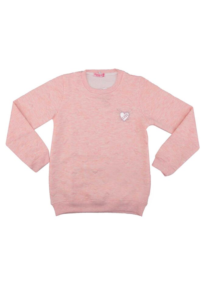 Love Printed Girl Sweatshirt 1522 | Pink