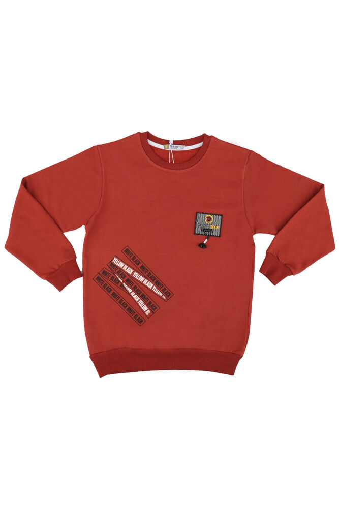 Fashion Coat of Arms Boy Sweatshirt | Tile Red