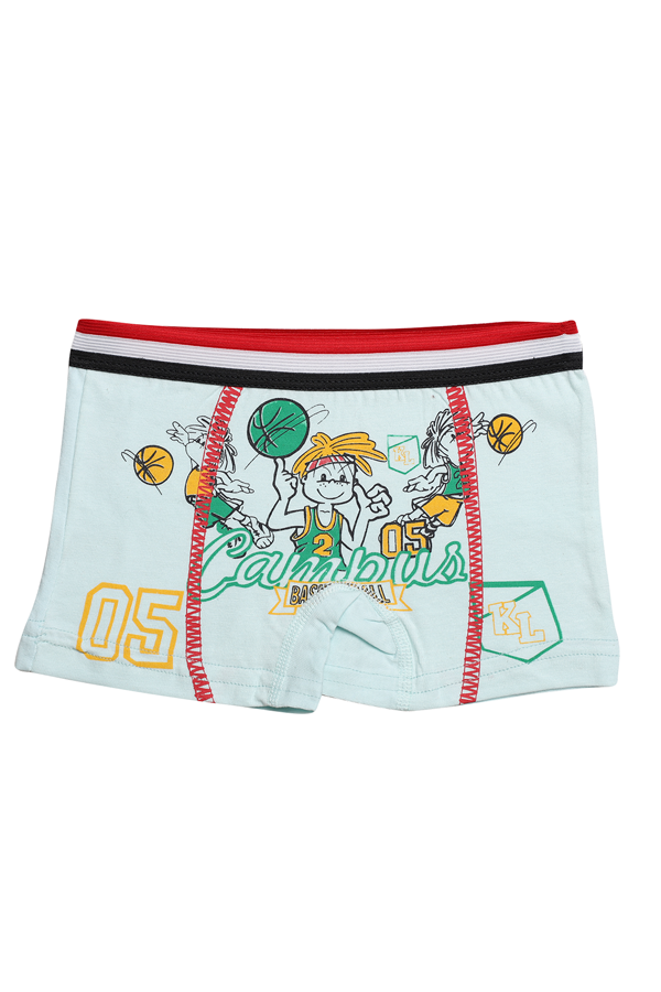 Desenli Erkek Çocuk Boxer 8007 | Mint