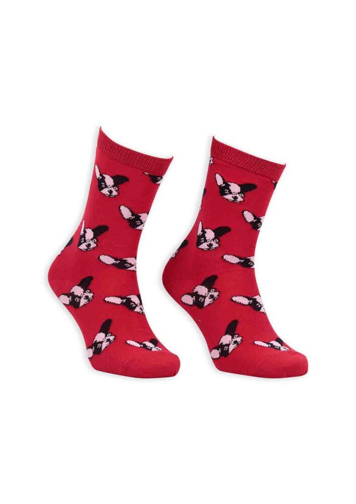 Pola Teenage Dog Printed Woman Short Socks 003 | Red